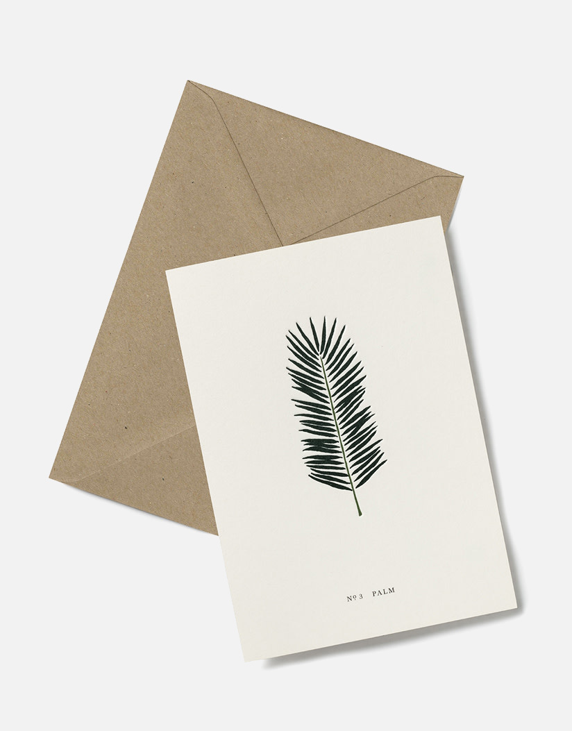 palm greeting card